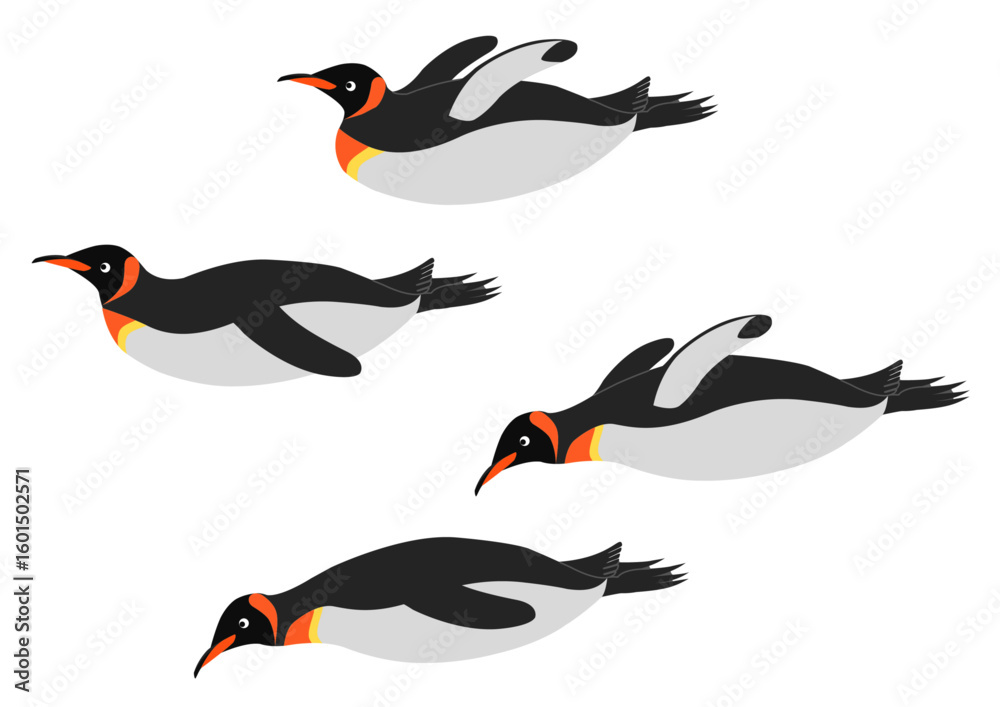Obraz premium 滑ったり泳ぐオウサマペンギンのイラストのセット