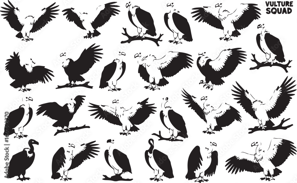 Obraz premium Graphic collection of vulture illustrations in various poses perfect for design projects and branding