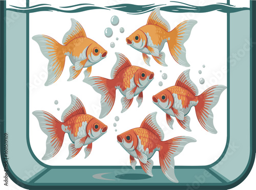 Six goldfish swimming happily inside a glass tank with bubbles of air for an aquarium