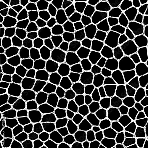 Abstract black background with organic white cell structure pattern covering the entire surface area