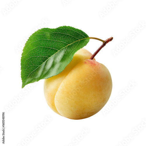 A ripe apricot with a fresh green leaf, showcasing its natural beauty and freshness
