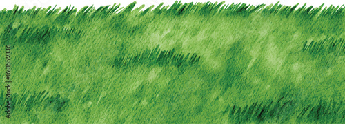 Simple and fresh grass border isolated on a white background, providing clean copy space for eco friendly or natural themed designs.