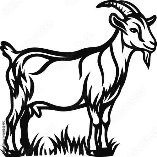 Tribal Goat Standing on Grass