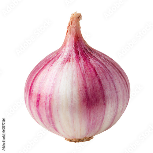 A single fresh red onion, isolated and ready to use