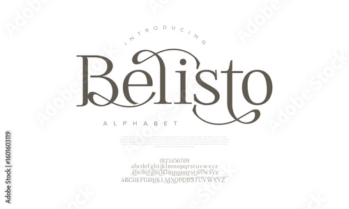 Sophisticated serif font with decorative swashes, ideal for branding, editorial layouts, and luxurious design needs
