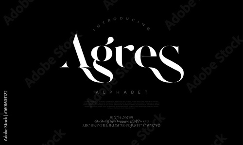 Elegant and artistic serif font with high contrast and dramatic curves, perfect for fashion branding and luxury design