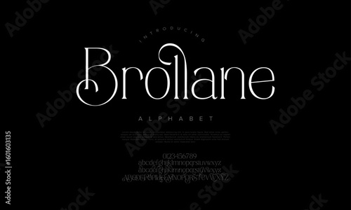 Luxury serif typeface with unique curves and elegant flow, perfect for high-end branding and editorial use
