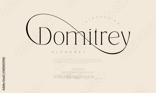 Sleek and expressive serif font with sweeping strokes and high contrast, ideal for editorials and personal branding