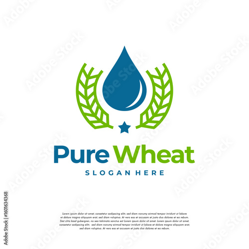 Pure Wheat logo designs concept vector, Droplet and Wheat Grain logo designs, Agriculture logo symbol icon