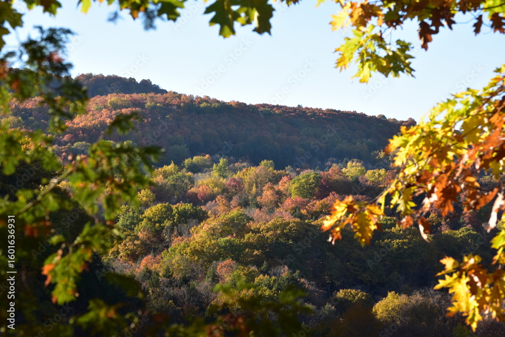 Fototapeta premium autumn in the mountains