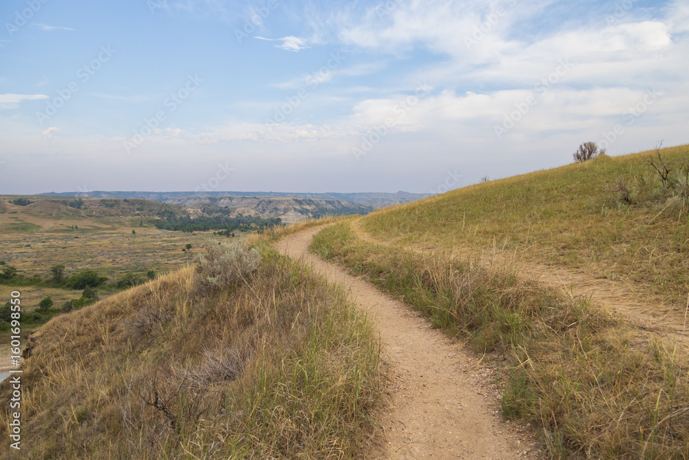 Fototapeta premium View from Wind Canyon Trail in Theodore Roosevelt National Park, North Dakota 