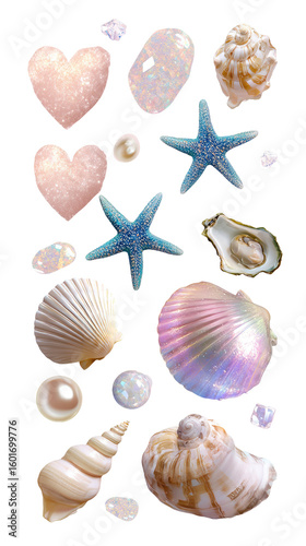 Seashell and pearl collage