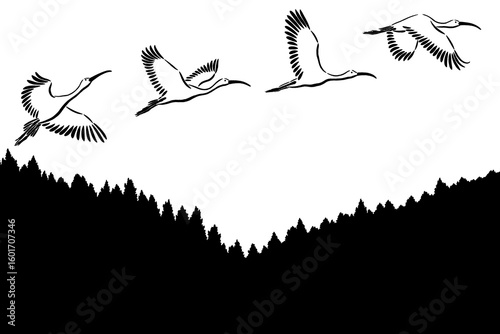 Hand-drawn minimalistic Sumi ink drawings of scarlet ibises flying over mountains isolated on transparent background, Japanese style illustrations, black brush strokes