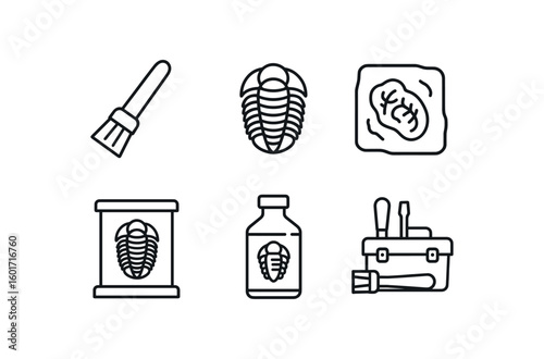 straight perfect stroke icon mono icons style isolated fossil ecavation bsh fossil trilobite specimen fossil imprint slab fossil display case fossil dating acid vial fossil preparation kit