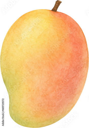 Watercolor painting of ripe mango with yellow and orange shades and brown stem showing natural texture and fresh look