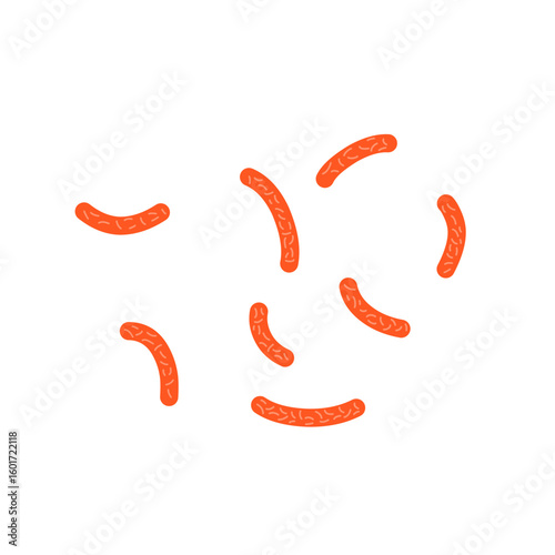 Bacillus subtilis bacterial vector