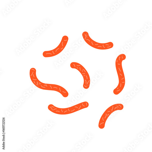 Bacillus subtilis bacterial vector