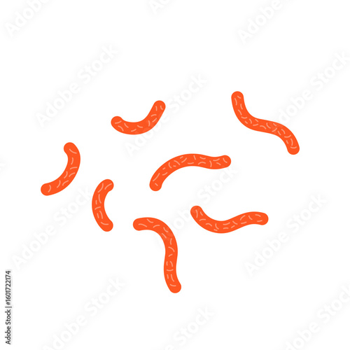 Bacillus subtilis bacterial vector