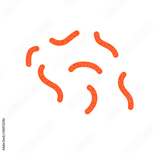 Bacillus subtilis bacterial vector