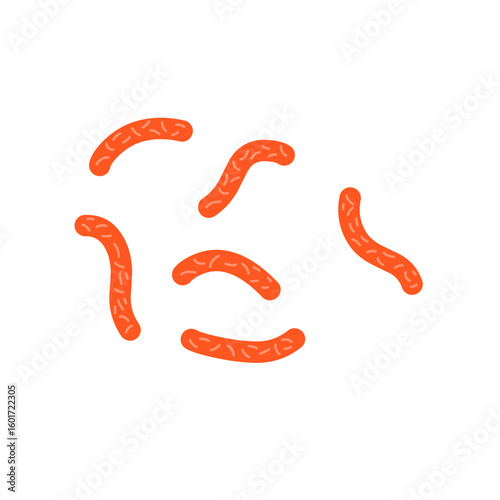 Bacillus subtilis bacterial vector