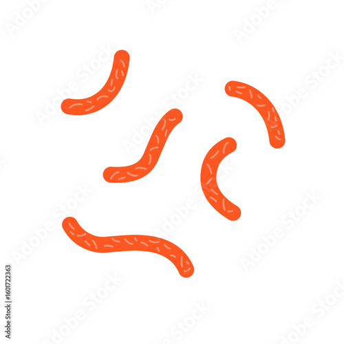 Bacillus subtilis bacterial vector