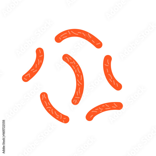 Bacillus subtilis bacterial vector