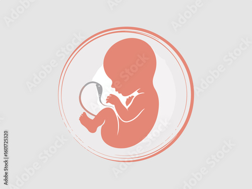 Stylized fetus development inside womb abstract art pregnancy