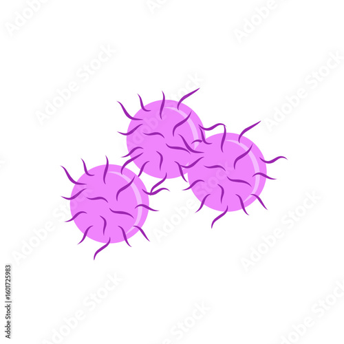 gonorrhea bacteria vector illustration