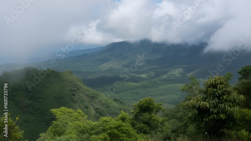 Lush green mountain valley shrouded in dreamy clouds offering peaceful nature escape inspiration