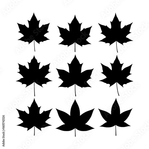  Black Maple Leaf Silhouettes in Different Variations Isolated on a White Background Representing Autumn Nature and Canadian Symbolism