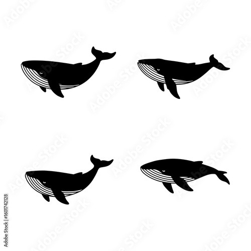 Black Humpback Whale Silhouettes in Different Swimming Positions on a White Background Representing Marine Life and Ocean Mammals