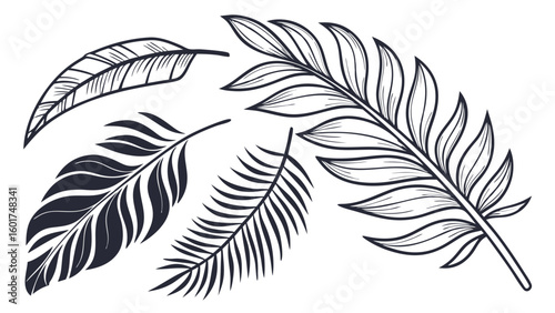 Collection of Handdrawn Botanical Leaves Illustrations in Monochrome Style