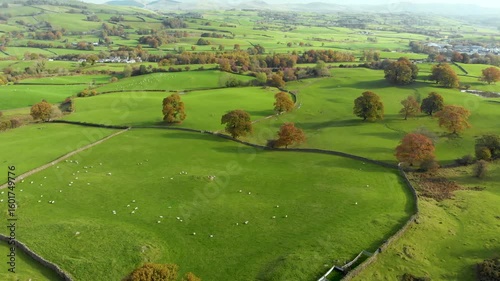 Aerial autumn view of endless lush pastures and farmlands of England. Beautiful English countryside with emerald green fields and meadows. Rural landscape on sunset. United Kingdom.