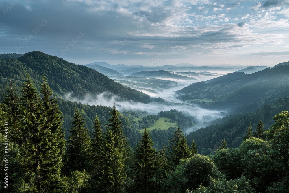 Obraz premium Rolling hills covered in dense forest with mist filled valleys under cloudy sky