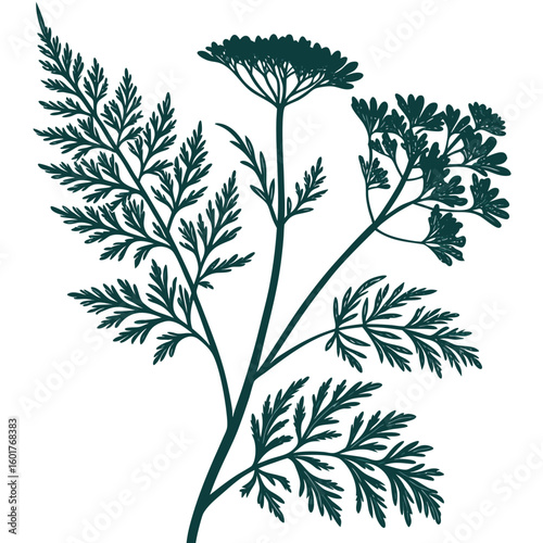 Tableau sur toile artemisia absinthium with leaves