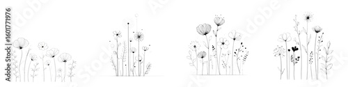 Elegant Black and White Wildflower Art Collection