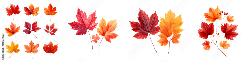 Fototapeta premium Watercolor Autumn Leaves Isolated on White Background: Fall Foliage Collection