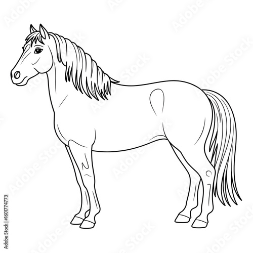horse vector illustration coloring page line art