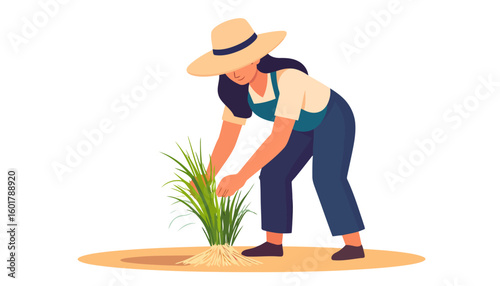 Young female farmer in a wide-brimmed hat carefully planting green rice shoots.