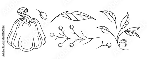 Fall border with pumpkin, berries and leaves. Monoline autumn illustration for cozy design