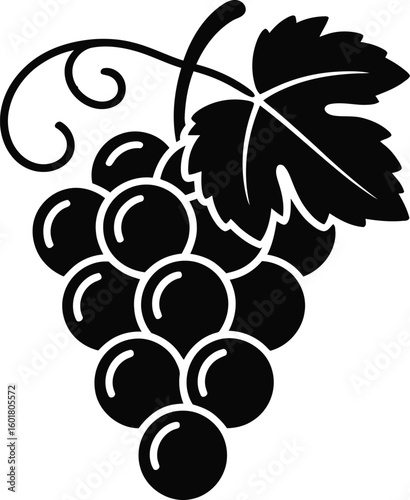 Filename hint: '25'. Focus only on what is visible.Title: Black grape cluster with leaf and vine