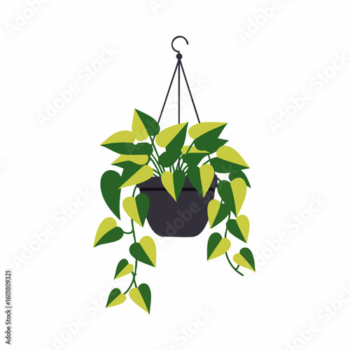 Hanging Pothos Plant with Variegated Leaves in Dark Pot, Suspended by Thin Black Cord