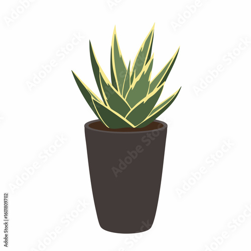 Stylized Sansevieria Plant with Yellow Edges in a Dark Brown Pot Illustration