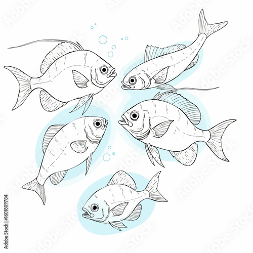Five monochrome fish illustration with detailed fins and expressive eyes