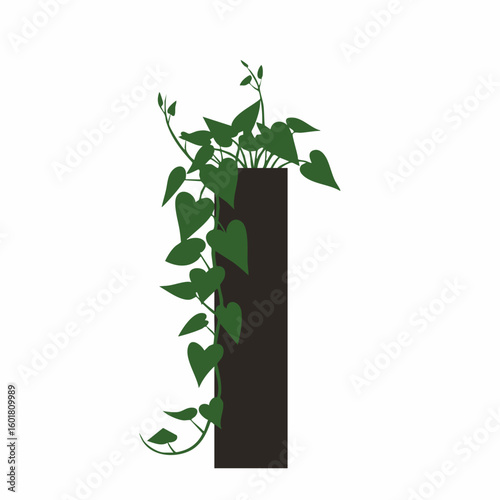 Stylized Heartleaf Philodendron cascading from a dark rectangular planter