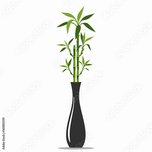 Simple and Elegant Lucky Bamboo in a Dark Vase
