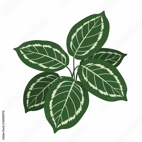 Ornate Green Leaves Clustered in a Decorative Arrangement