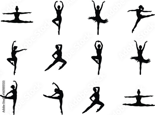 Collection of ballerina silhouettes in various poses on a white background art