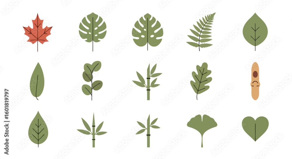 Fototapeta premium Diverse Leaf Collection: Botanical Vector Set