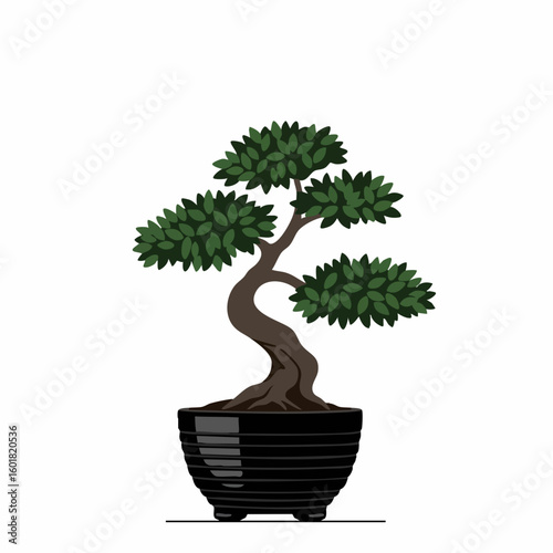 Graceful Bonsai Tree in Elegant Black Pot